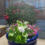 Belmont Hotel Leicester