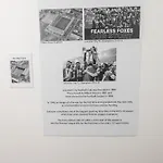 The Pocklington - The Filbert Suite