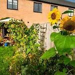 Artist\'S Garden On Wolsey Island