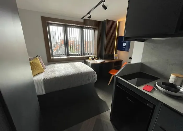 Lovely 1 Bed Studio 1B Near Royal Infirmary And Dmu