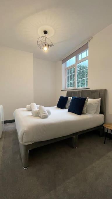 1- Luxury 1 Bed Apt- City- Free Parking Apartment