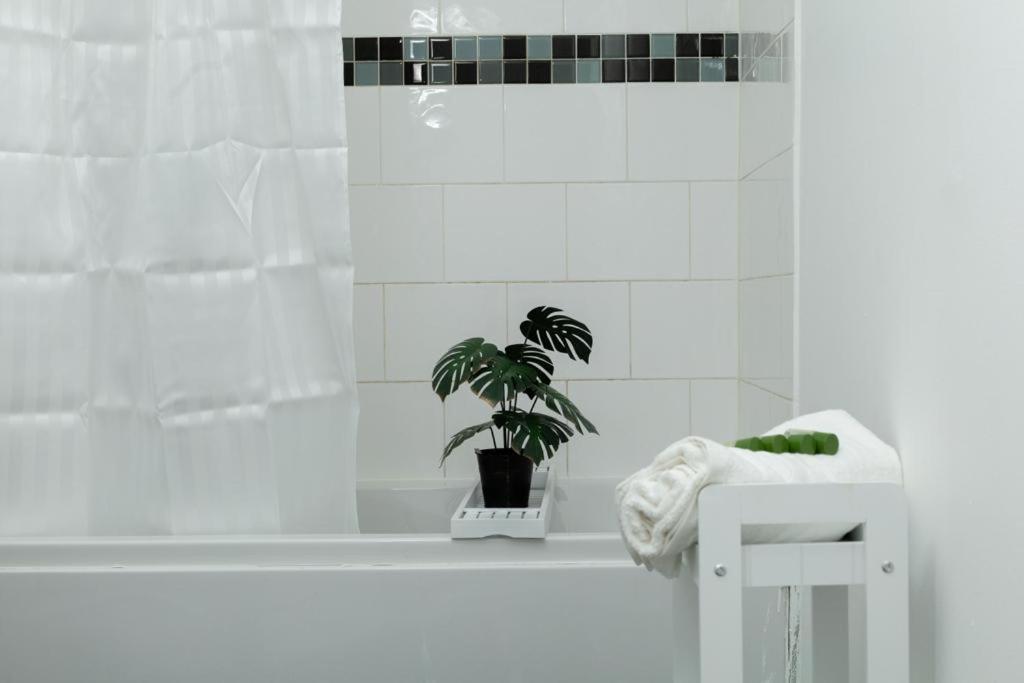Apartment Spacious Centre 2 Bedroom - Lt