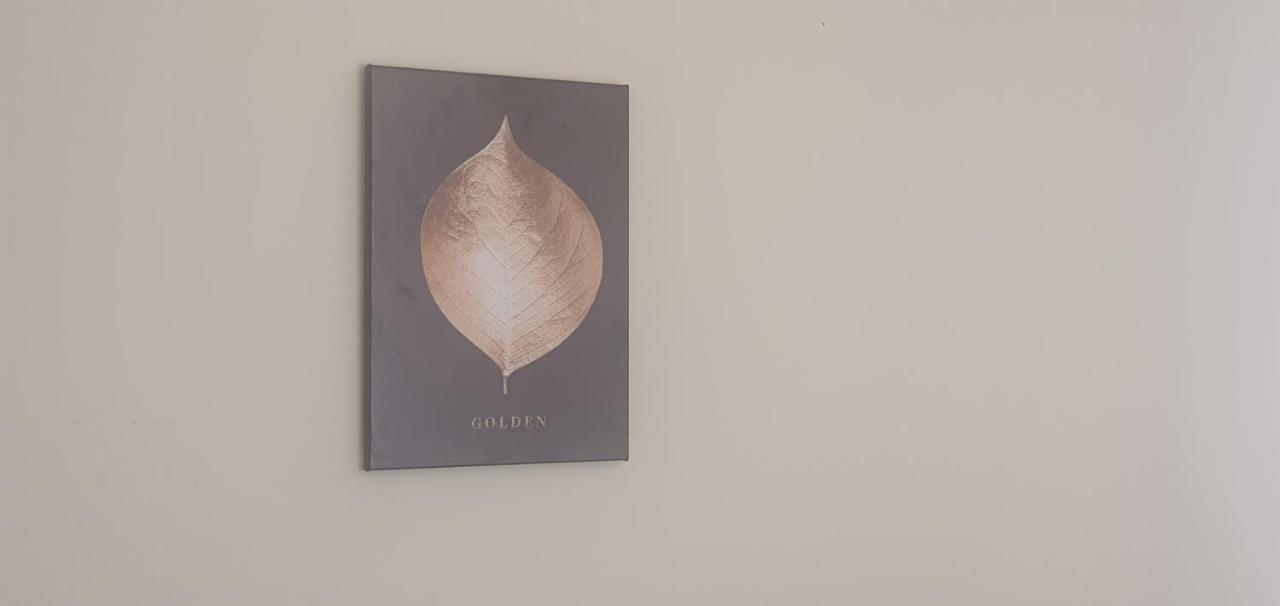 City Apartment Leicester