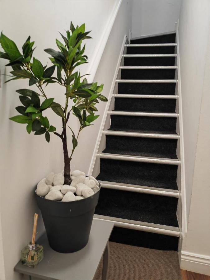 Apartment - New Walk *