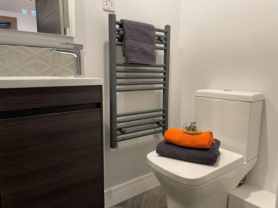 Apartment Lovely 1 Bed 1b Near Royal Infirmary And Dmu *
