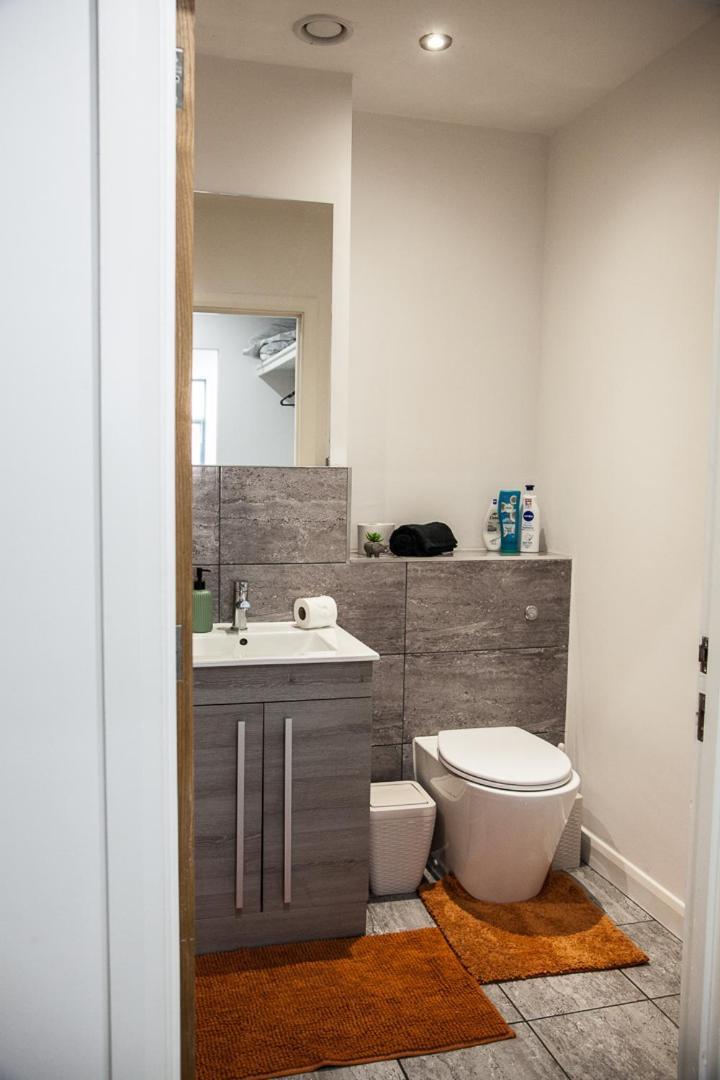 Apartment Cityscape 2-br - Leicester's Premier Urban Retreat