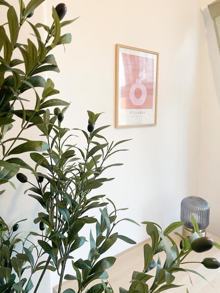 Luxury Stylish Studio Flat +spacious Bathroom-no 6 Apartment *