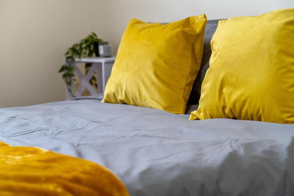 Professionals,contractors,family * Leicester
