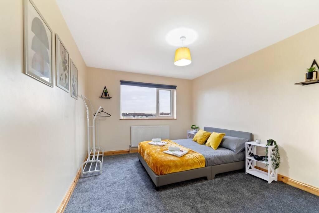 Professionals,contractors,family Leicester