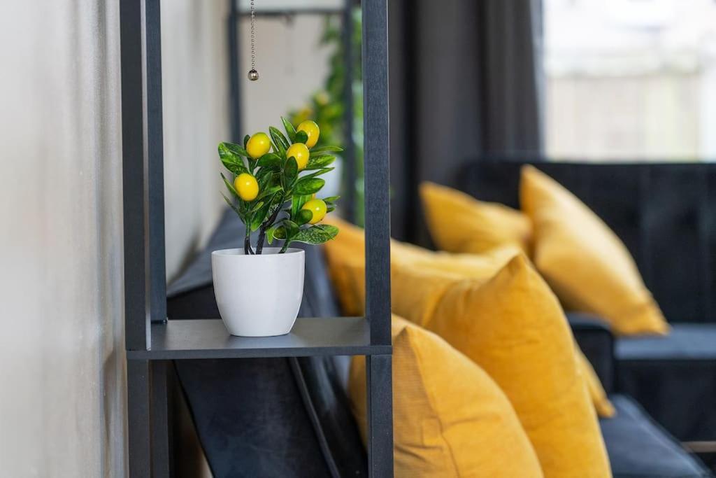 Holiday home Professionals,contractors,family
