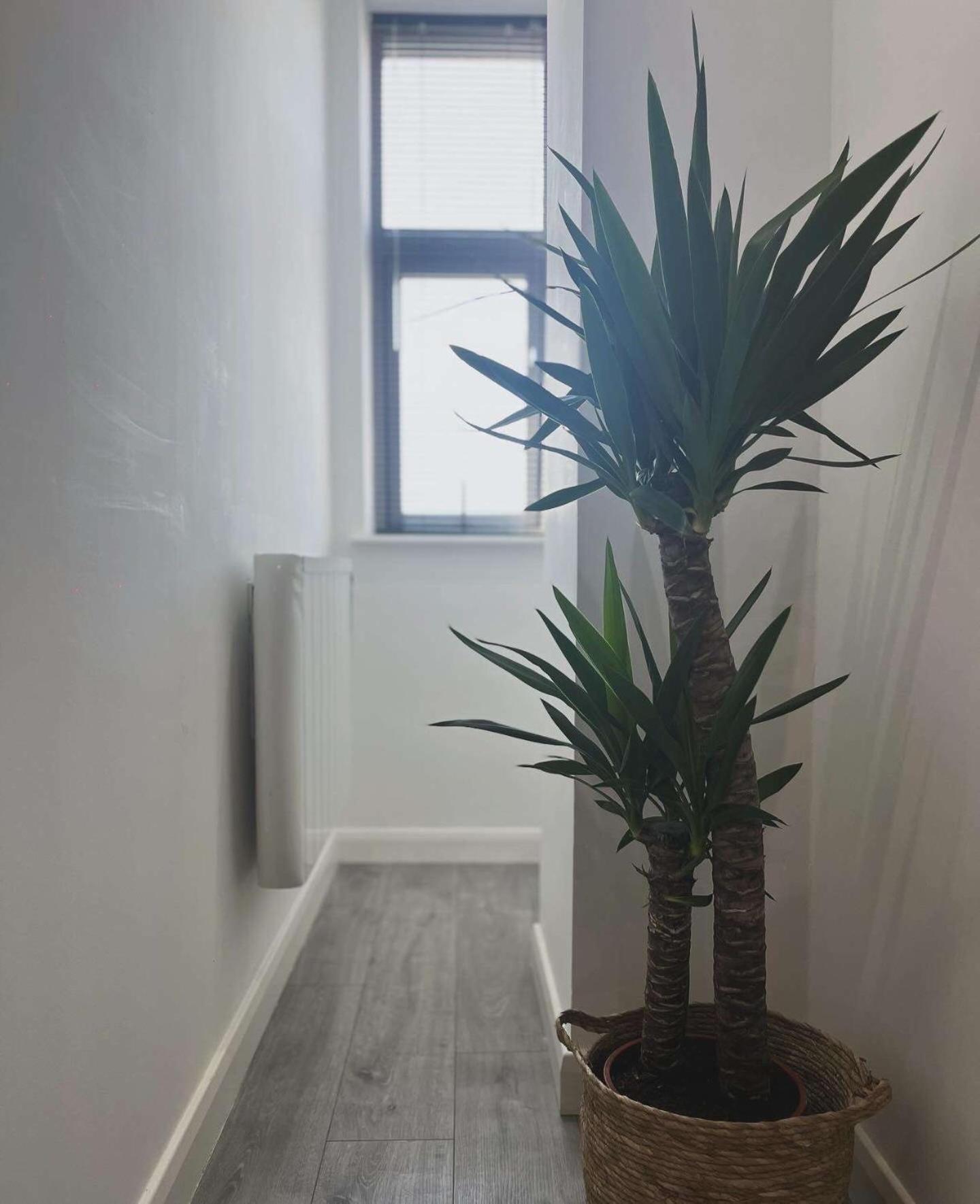 Apartment Deluxe City Centre King Leicester