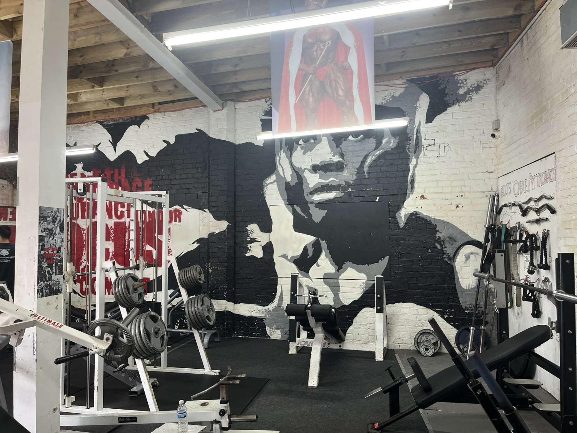 Apartment Cozy Central Double Suite - Free Gym!