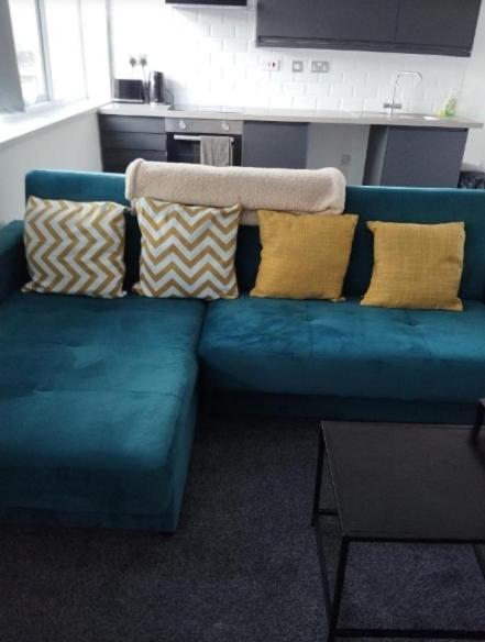 Cosy Near Royal Infirmary & De Montfort Apartment Leicester