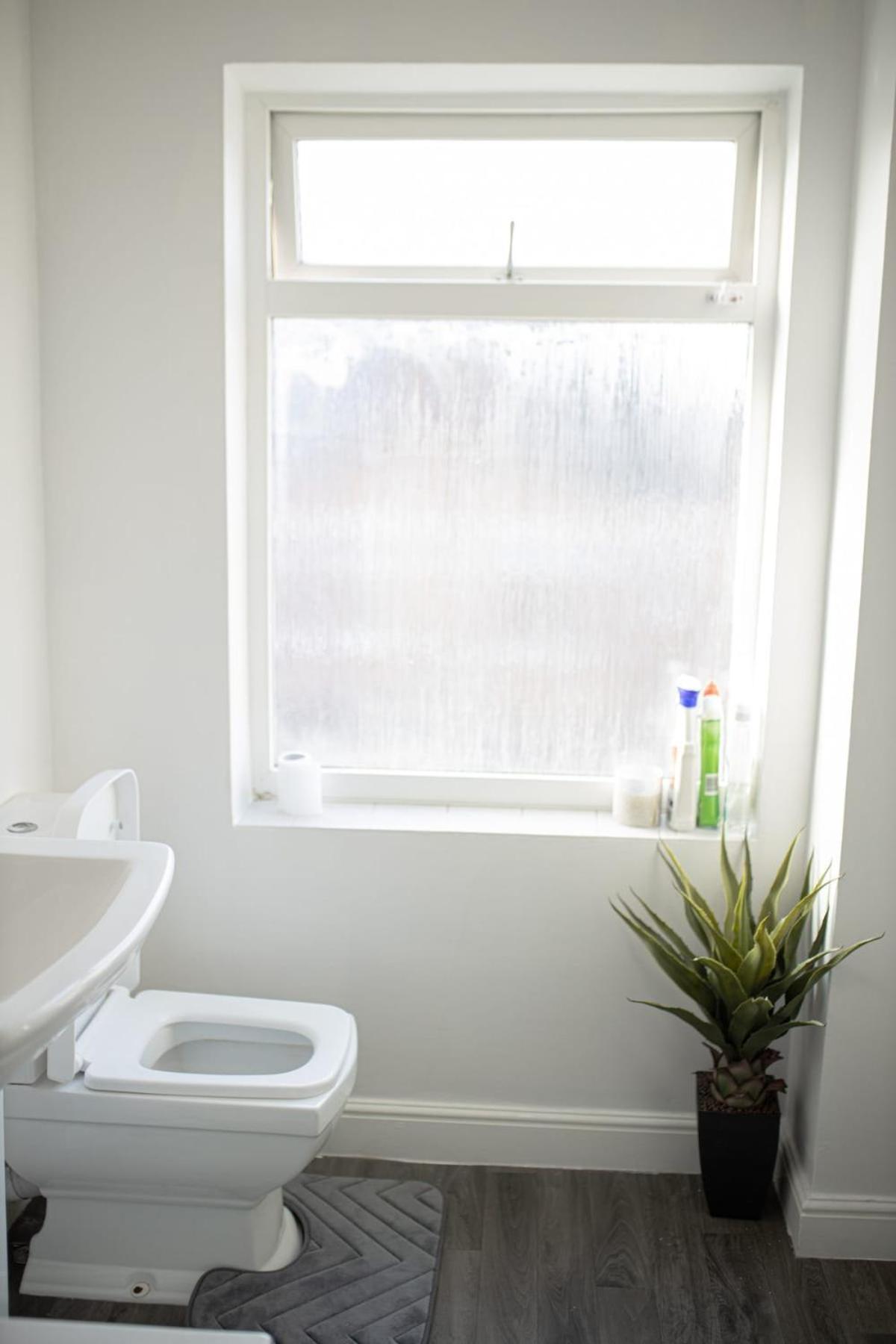 Cozy And Stylish 2 Bedroom Leicester