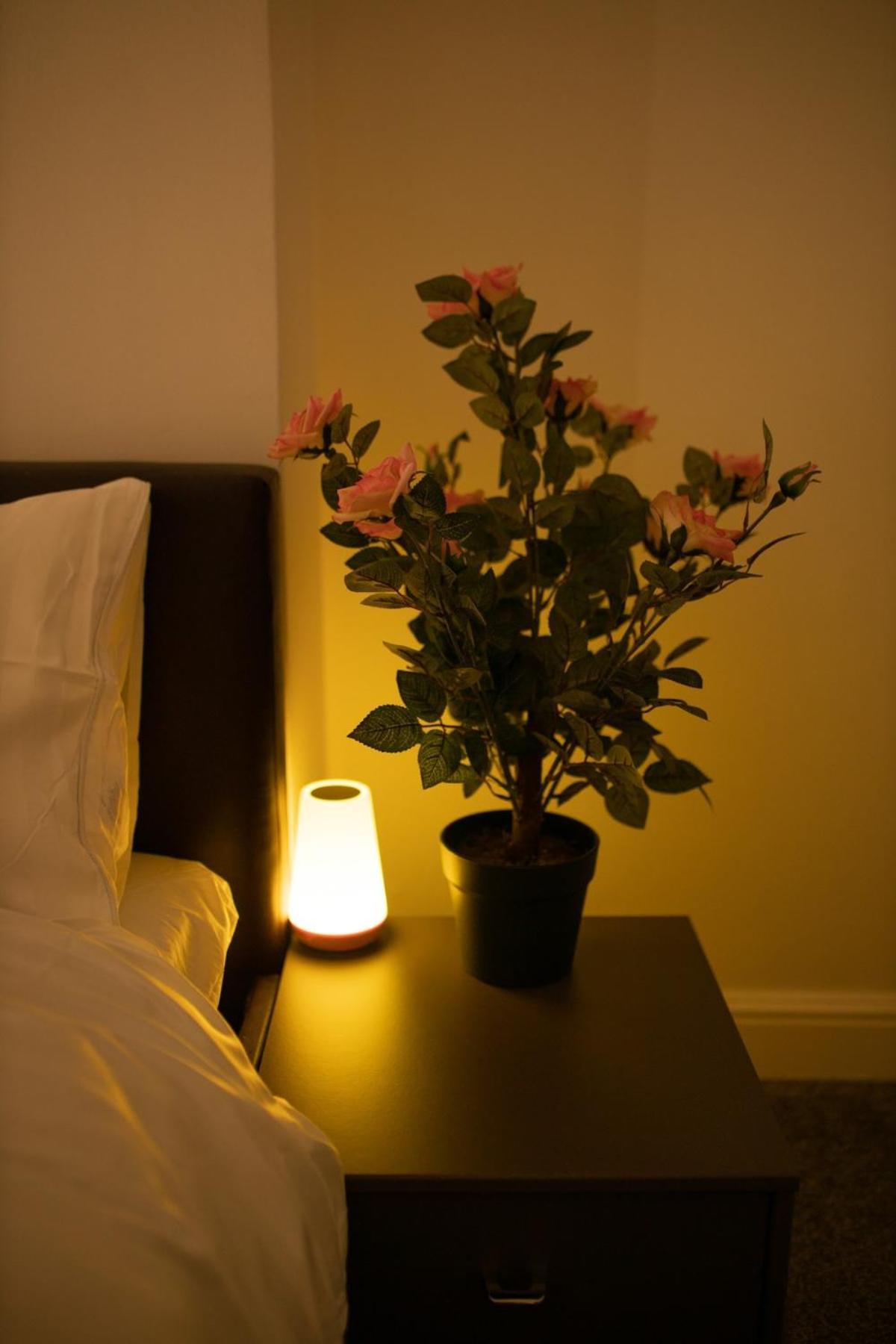 Apartment Cozy And Stylish 2 Bedroom