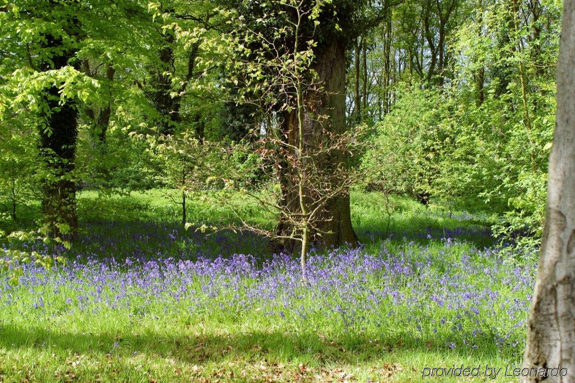 Country house Scalford Hall *