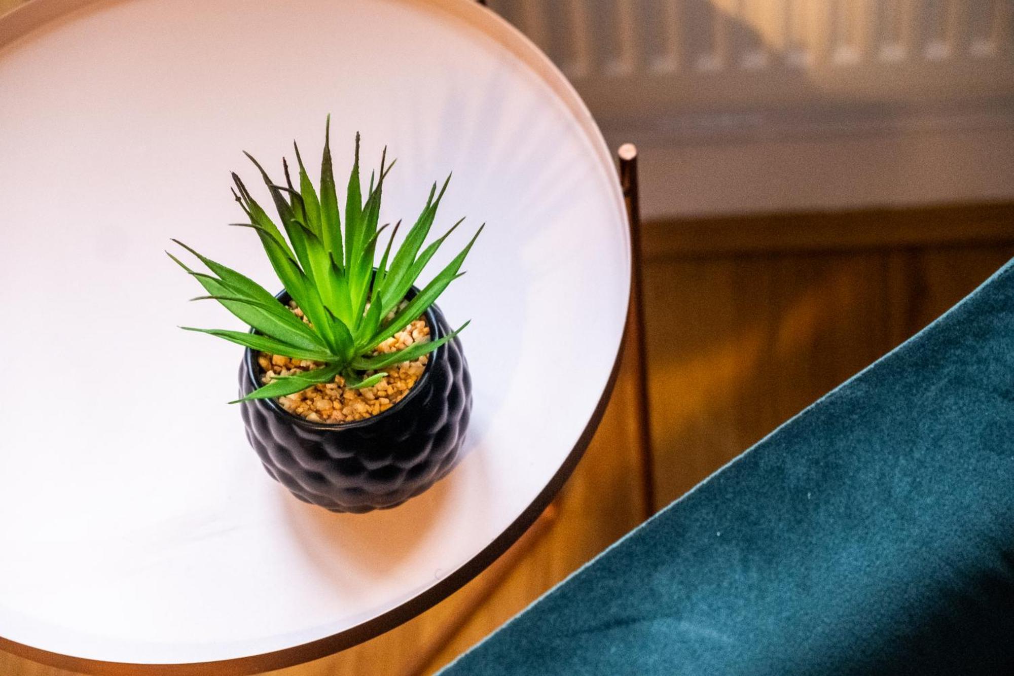 Spacious, Luxurious Cliffes Apartamento Leicester